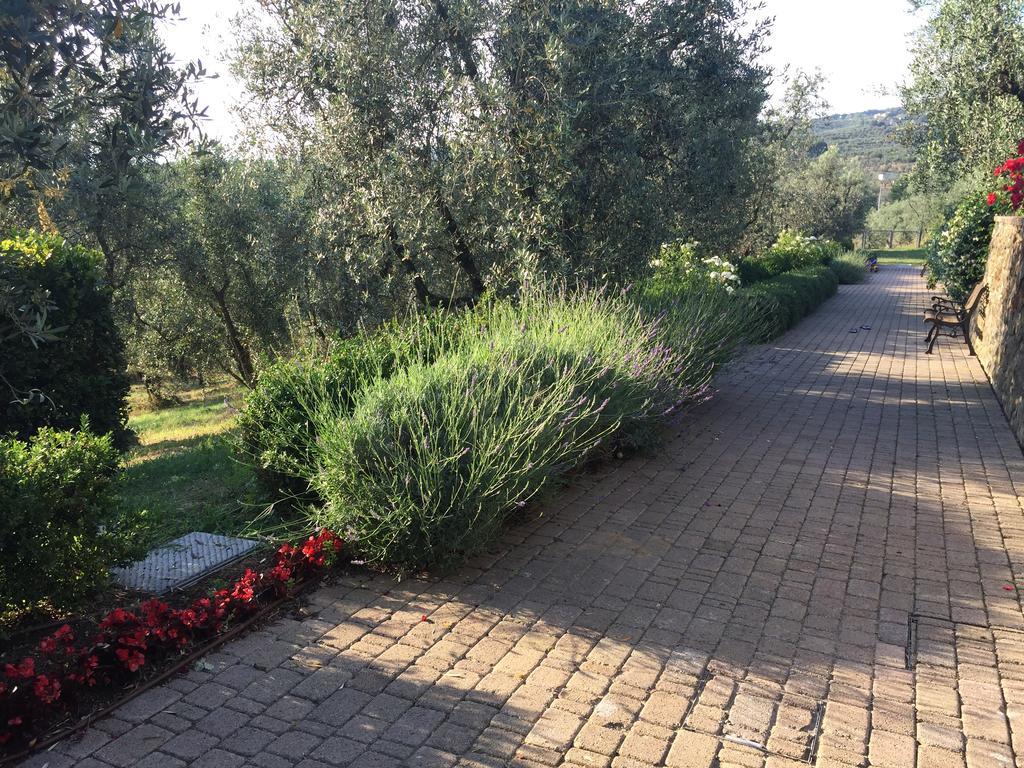 Podere Jana Antico Frantoio Vinci Exteriér fotografie