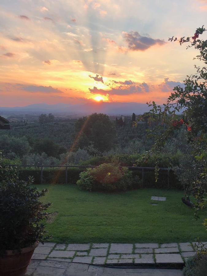 Podere Jana Antico Frantoio Vinci Exteriér fotografie