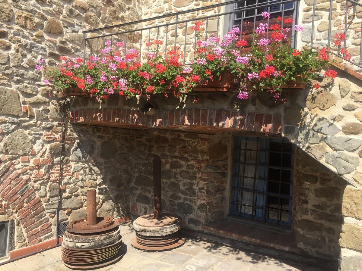 Podere Jana Antico Frantoio Vinci Exteriér fotografie